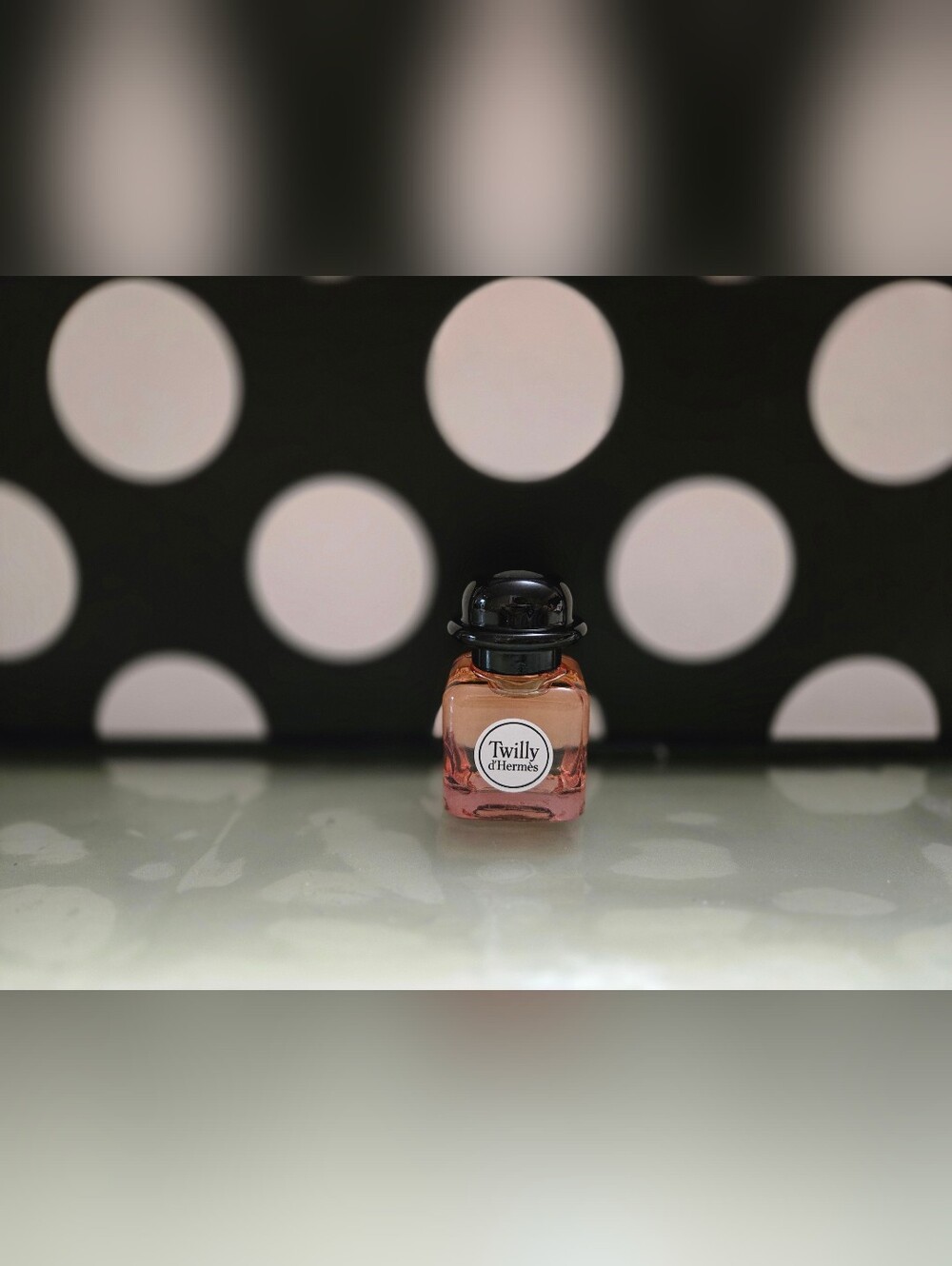 ✨️Twilly d'Hermes MINI✨️